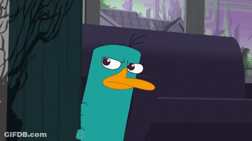 Perry The Platypus GIF