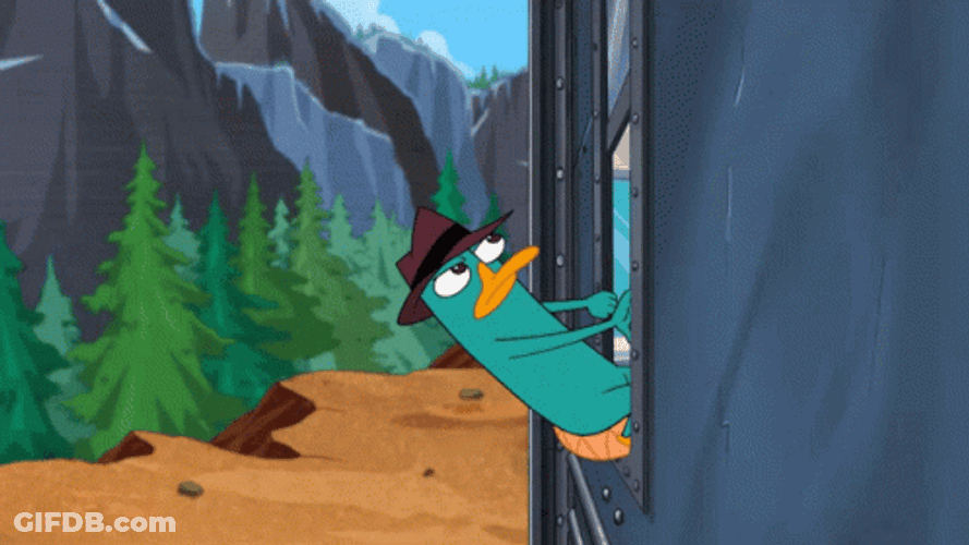 Perry The Platypus Head Out Of The Train GIF