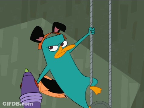 Perry The Platypus Held By Person GIF