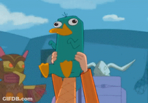 Perry The Platypus Held By Person GIF