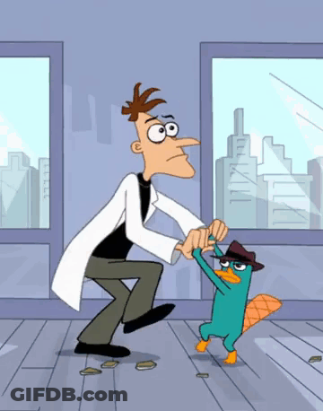 Perry The Platypus Holding Hands With Man GIF