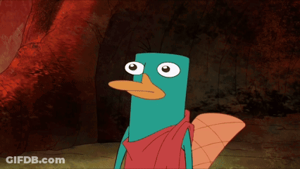 Perry The Platypus In Cave GIF