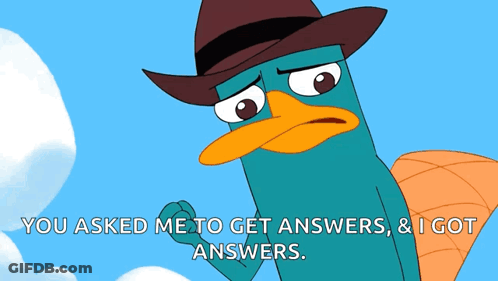 Perry The Platypus In Cowboy Hat Saying You Asked Me To Get Answers GIF