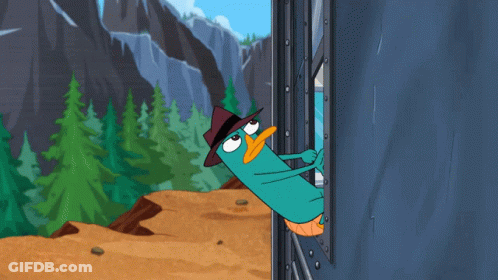 Perry The Platypus In Hat At Window GIF