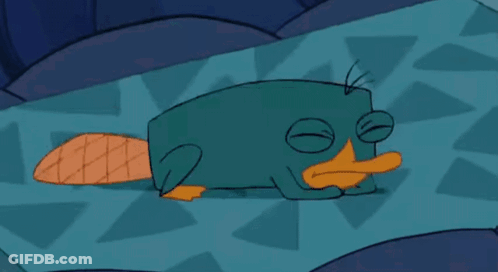 Perry The Platypus Laying In Bed GIF