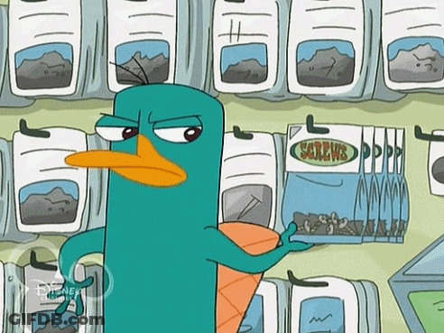 Perry The Platypus Looking At Screws GIF
