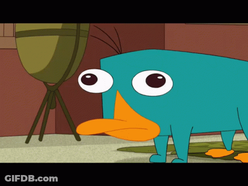 Perry The Platypus Looking At Something GIF
