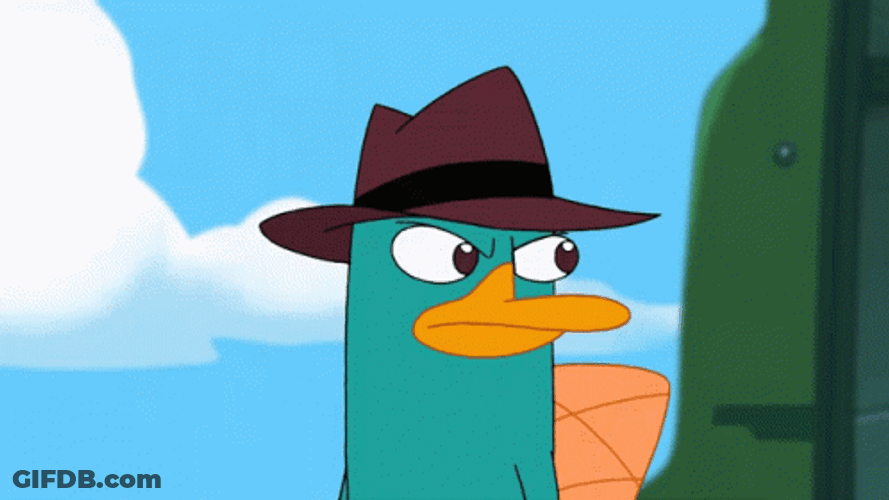 Perry The Platypus Madly Looking Up GIF