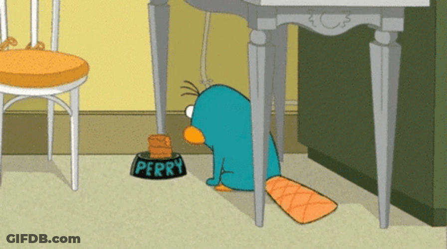 Perry The Platypus Smelling Food GIF