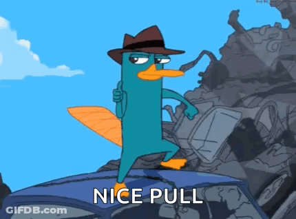 Perry The Platypus Standing On Car Roof GIF