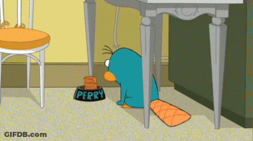 Perry The Platypus Under Table With Food GIF