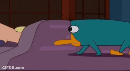 Perry The Platypus Wearing Hat GIF