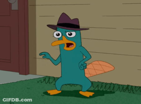 Perry The Platypus Wearing Hat GIF