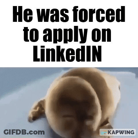 Person Applying On LinkedIn With Dog Photo GIF