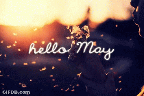Person Blowing Dandelions Hello May GIF