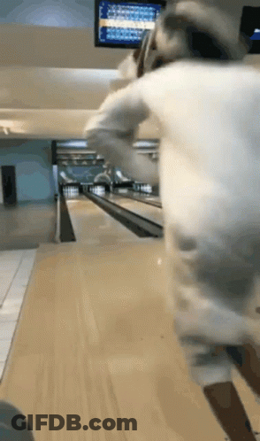 Person Bowling In Alley In Front Of Scoreboard GIF