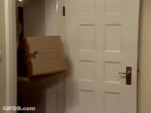 Person Carrying Cardboard Box GIF