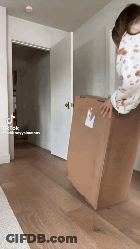 Person Carrying Large Cardboard Box GIF