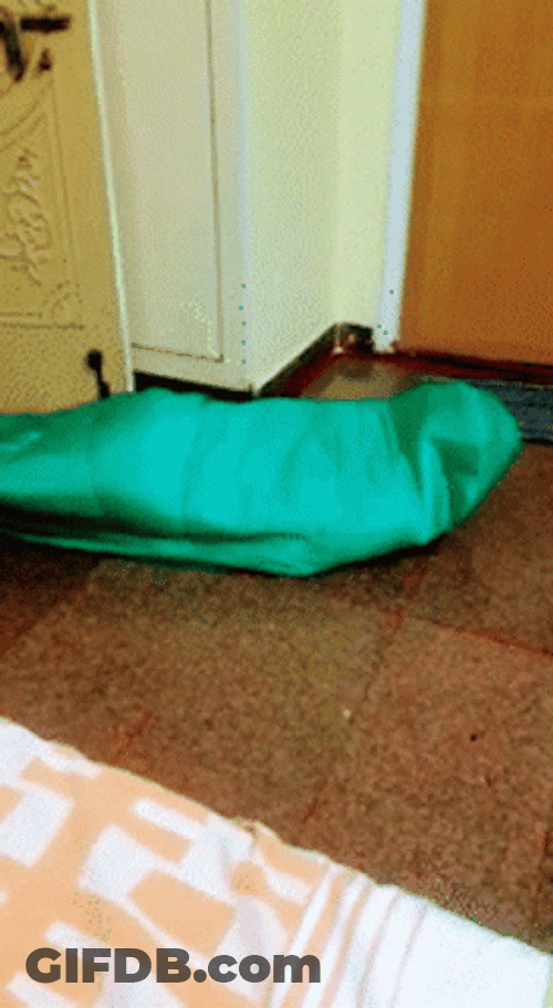 Person Caterpillar Costume GIF