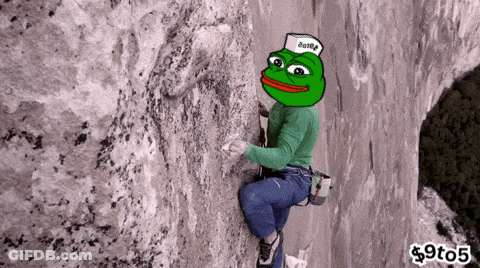 Person Climbing Mountain With Frog On Head Saying $9T05 GIF