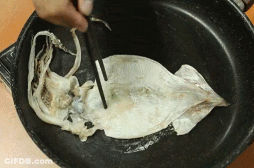 Person Cooking Large Squid In Frying Pan GIF