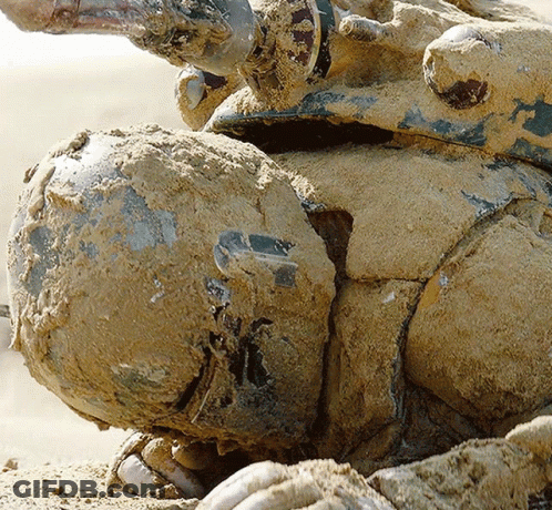 Person Covered In Dirt GIF
