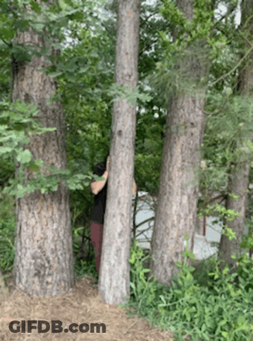 Person Covering Face Behind Tree GIF