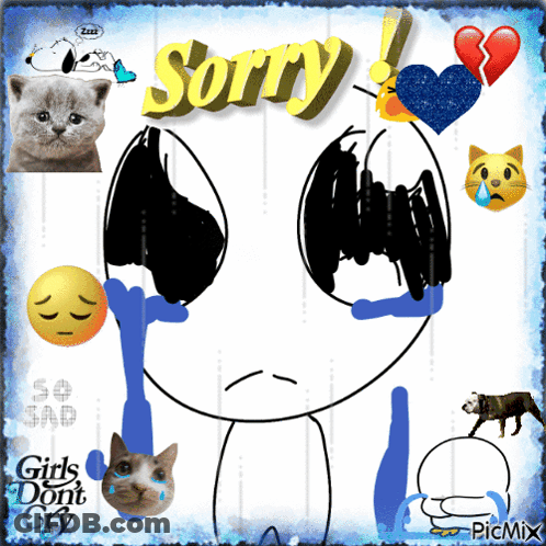 Person Crying Sorry GIF
