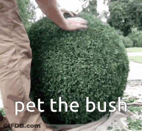 Person Cutting Bush Pet The Bush GIF