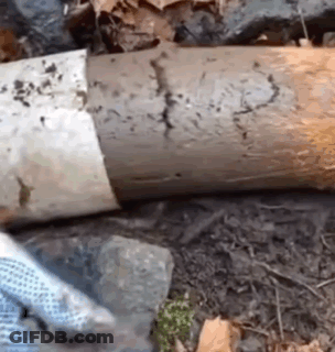 Person Cutting Wood With Knife GIF