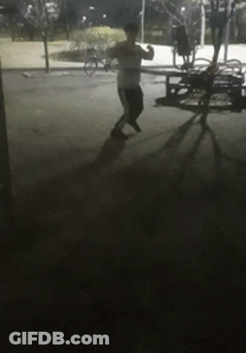 Person Dancing In Dark Park At Night GIF