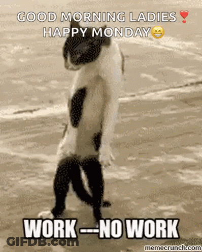 Person Dancing In Living Room Monday Workout GIF