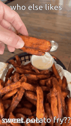 Person Dipping Sweet Potato Fry Into Bowl GIF