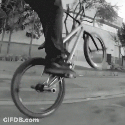 Person Doing Bike Trick GIF