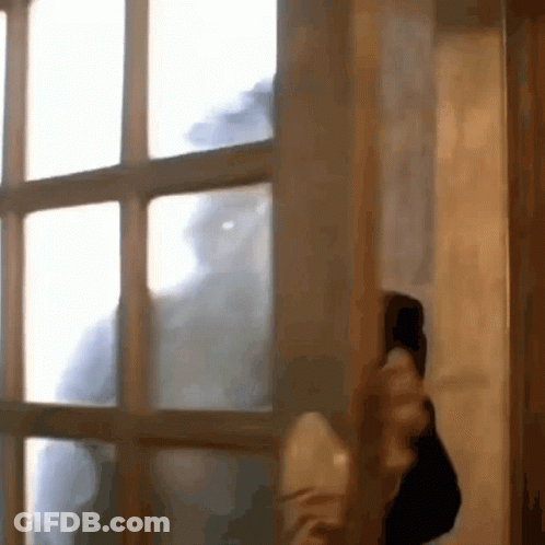 Person Doing Handstand At Window GIF