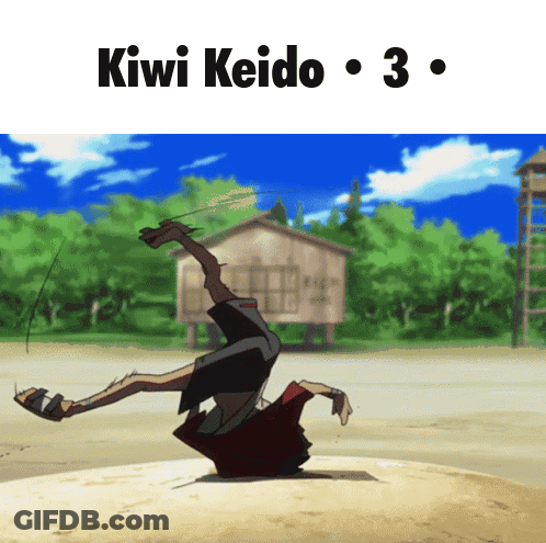 Person Doing Handstand Kiwi Keido 3 GIF