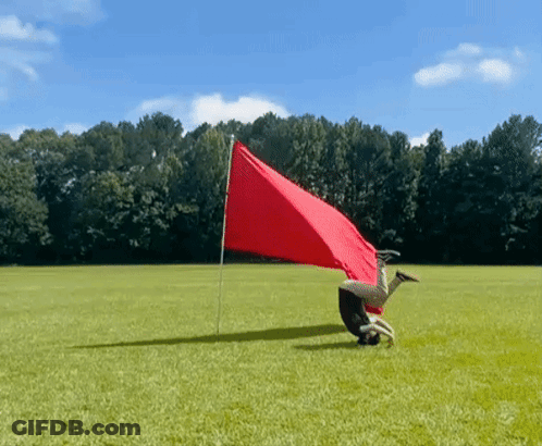 Person Doing Handstand With Red Flag GIF