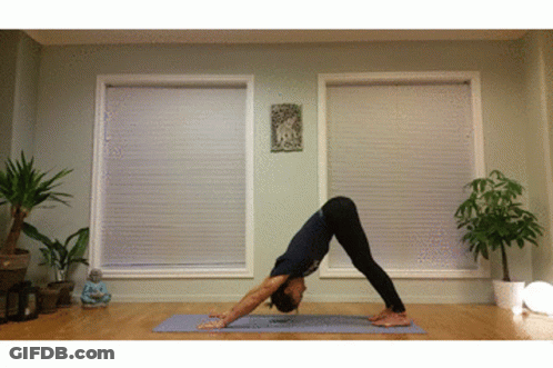 Person Doing Yoga Pose On Mat GIF