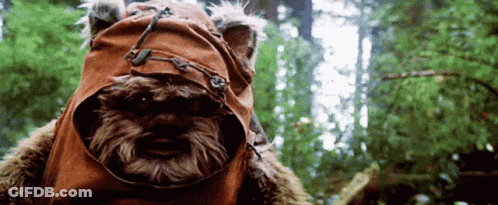 Person Dressed As Ewok In Forest GIF
