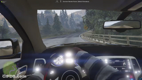 Person Driving Car GIF