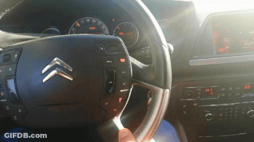 Person Driving Citroen With X And Y On Steering Wheel GIF