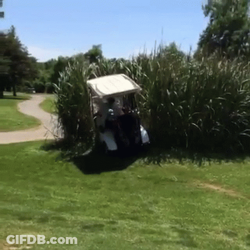 Person Driving Ezgo Golf Cart GIF