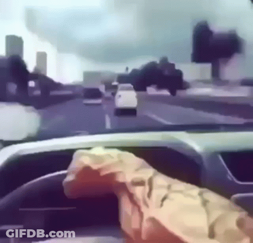 Person Driving With Chips On Wheel GIF