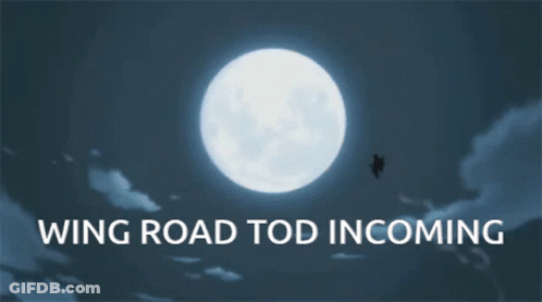 Person Falling In Front Of Full Moon Wing Road Tod Incoming GIF