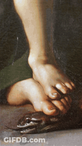Person Feet With Snake On Ground GIF