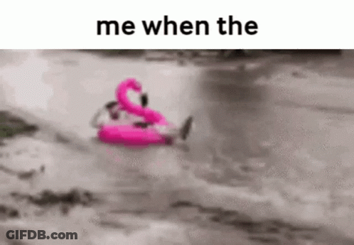 Person Floating On Pink Flamingo GIF