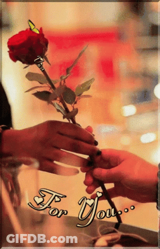 Person Giving Rose To Another Saying For You GIF