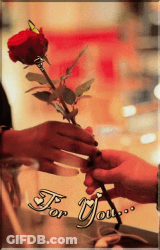 Person Giving Rose With For You GIF