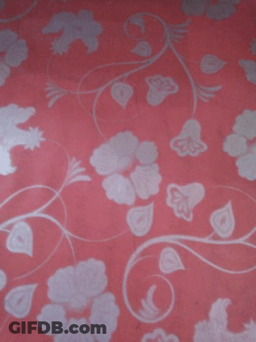 Person Giving Thumbs Up On Pink Floral Background GIF