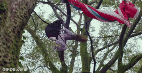 Person Hanging From Tree Branch With Red White Blue Blanket GIF